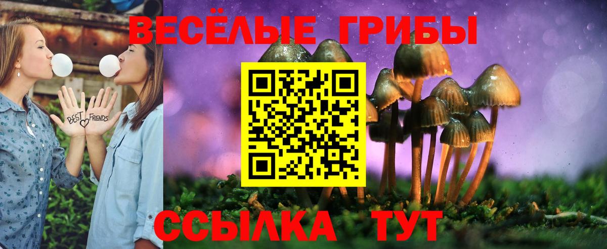 Галлюциногенные грибы мицелий Котлас