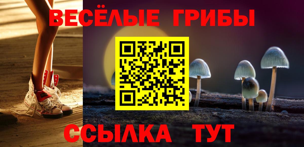 Галлюциногенные грибы Psilocybine cubensis  Вход с VPN  Котлас 